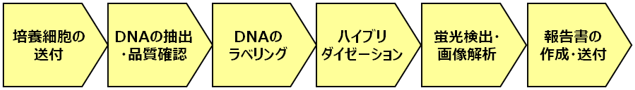 サービスの流れの図