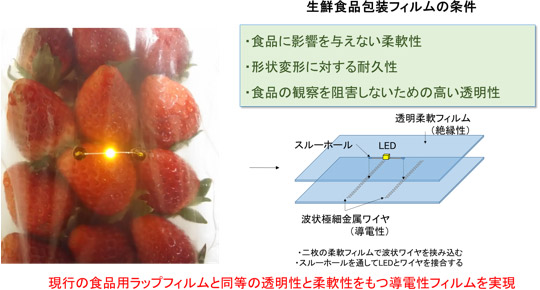 開発した導電性透明ラップフィルムにLEDを接続し、苺の包装フィルムとして用いた例の写真と図