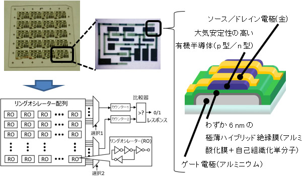 ガラス基板上に作製したリングオシレーター回路の写真とセキュリティータグ回路の拡大図（左上）とセキュリティータグの全体図（左下）、コアとなる有機トランジスタの構造模式図（右）
