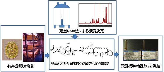 貝毒認証標準物質の開発プロセスの図