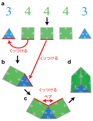 本理論による多面体の作り方の図