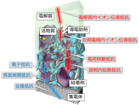 リチウムイオン電池合剤電極の模式図、電子は集電体側、リチウムイオンは電解質側から供給される図