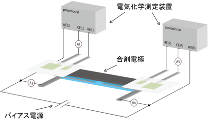 リチウムイオン電池合剤電極中の電子・イオン伝導率分離測定法模式図