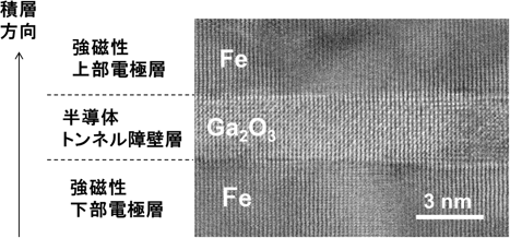 今回開発したTMR素子断面の電子顕微鏡の写真