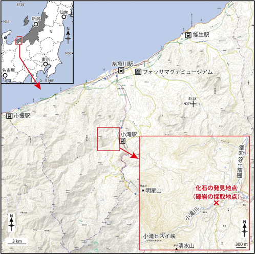 化石の発見地点の位置図