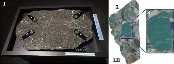 研究対象とした礫岩（1）とその研磨片（2）ならびに放散虫を発見した珪質岩礫（3）の図