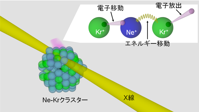 本研究で解明した反応過程の図