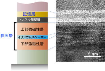 今回開発した参照層を含む垂直磁化TMR素子断面の模式図と電子顕微鏡像の図