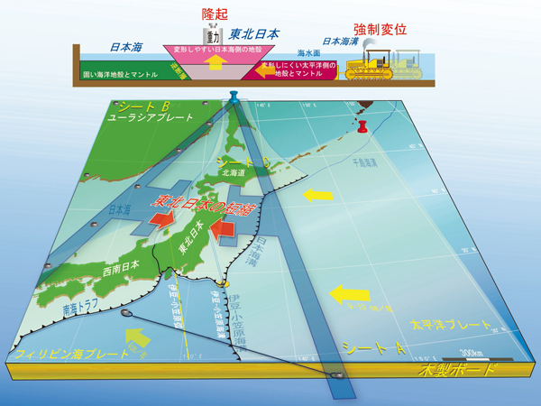 アナログ模型で明らかにした日本列島の地殻変動の力学的枠組みの概念の図