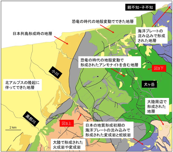 泊地域地質概要図