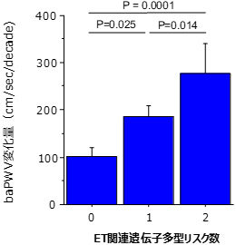 エンドセリン関連遺伝子多型リスク数と10年間の動脈スティフネスの加齢変化の図