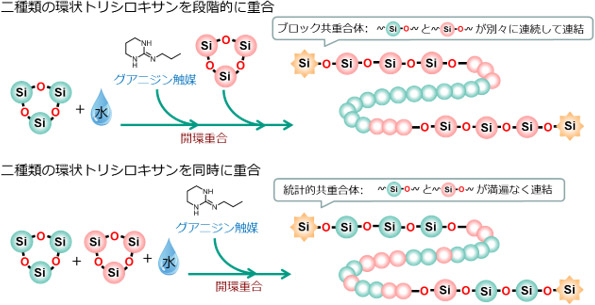 二種類の環状トリシロキサンの開環重合による共重合体の合成の図