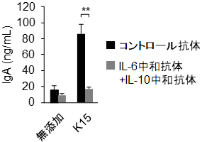 Pediococcus acidilactici K15のIgA産生増強におけるIL-6、IL-10の関与の図