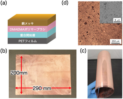 PETフィルム上のポリマーブラシへの無電解銅メッキの図と写真