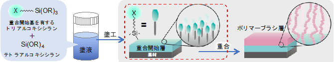 今回開発した重合開始層の形成方法と得られるポリマーブラシの概要図