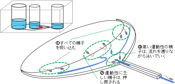今回開発した「運動性精子選別器具」の概略図（左上）と三日月状構造部内での流れの様子（右）の図