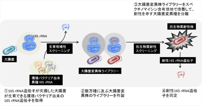 図1