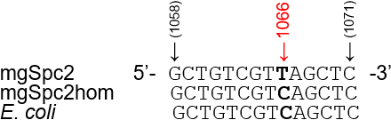 図2