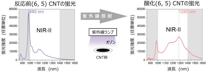 図1