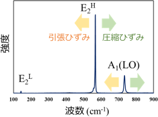 図1