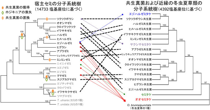 図4