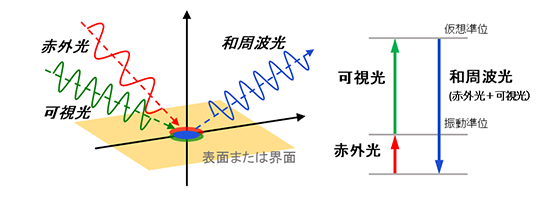 和周波発生分光法（SFG分光法）の説明図