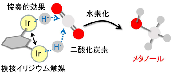 2つのイリジウムを持つ触媒を用い二酸化炭素を水素化しメタノ－ルを生成のイメージ図
