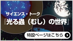 一般公開2017 サイエンス・トーク『光る蟲（むし）の世界』