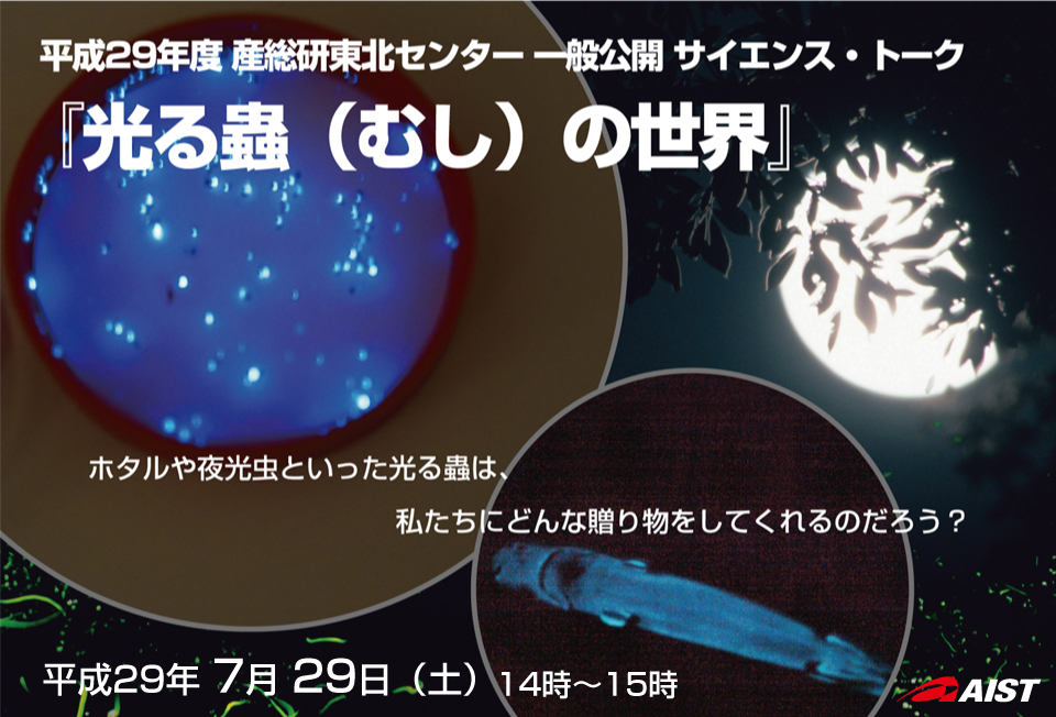 平成29年度 産総研東北センター 一般公開 サイエンス・トーク『光る蟲（むし）の世界』