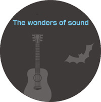 Wonder of sound