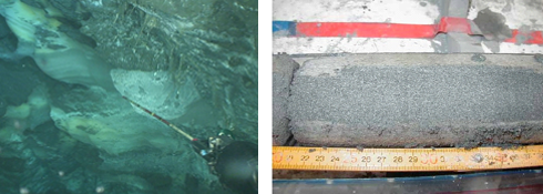 自然界から取得したメタンハイドレート試料　表層型（左）、砂層型（右）
