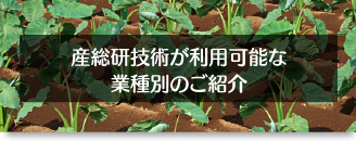 産総研技術が利用可能な業種別のご紹介へのリンク画像