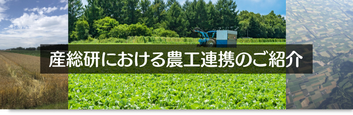 産総研における農工連携のご紹介バナー画像