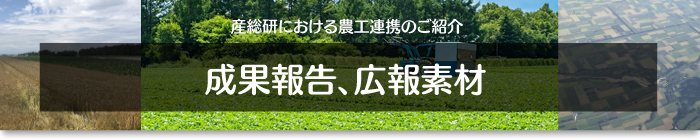 成果報告、広報素材バナー画像