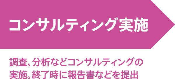 コンサルティング実施