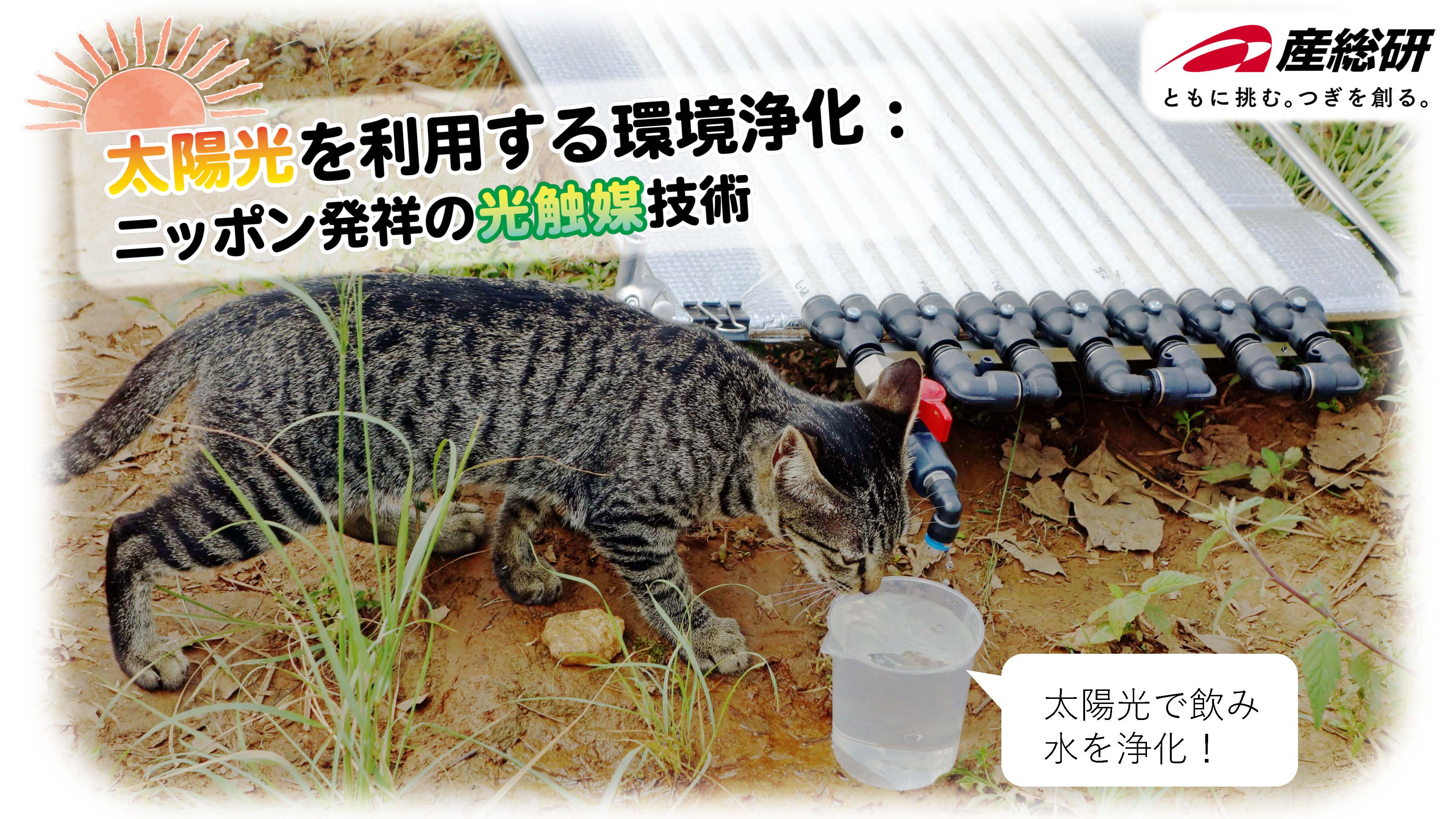 テストの様子イメージ1