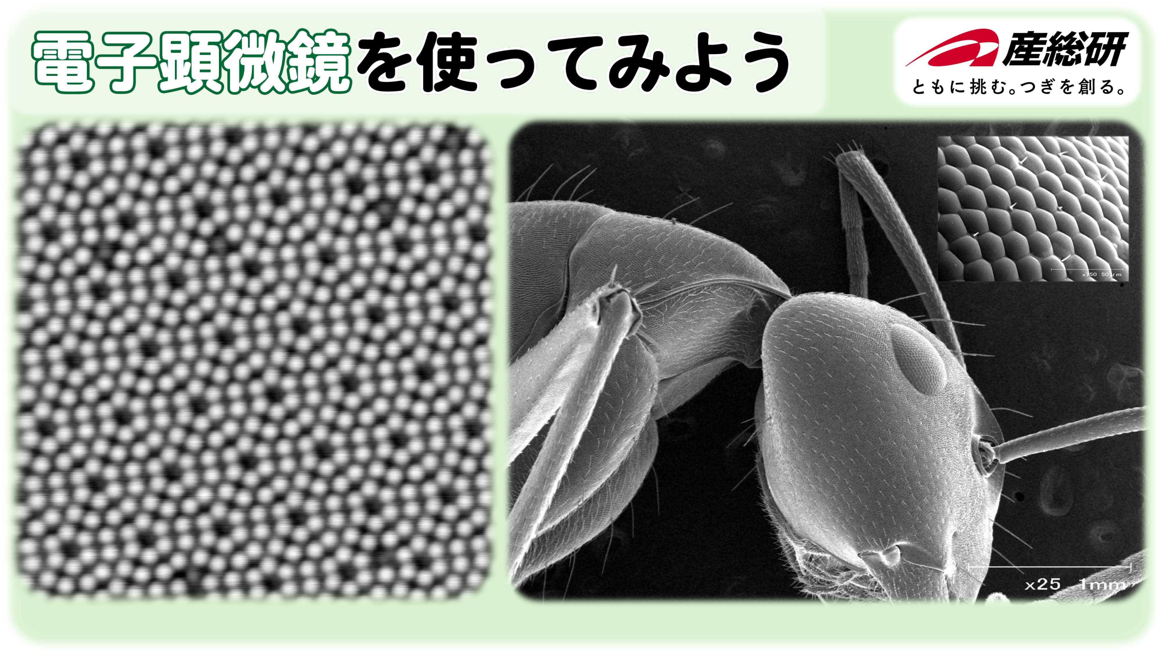 テストの様子イメージ3