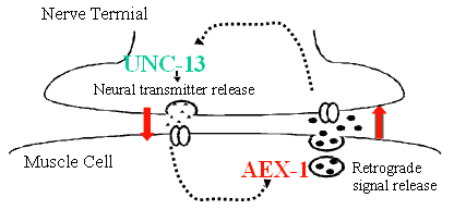 Figure2