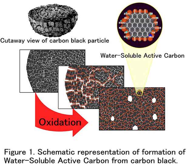 Figure 1. Schematic representaion of formation of Water-Soluble Active Carbon from carbon black
