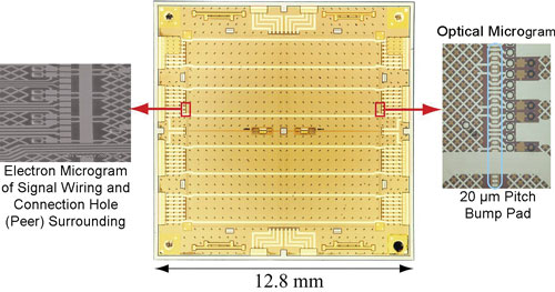 fig1