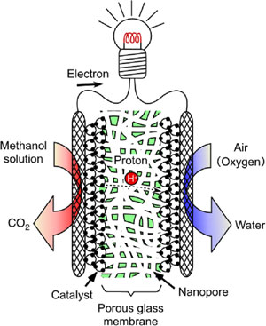 fig1