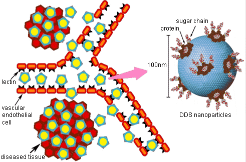 fig.2