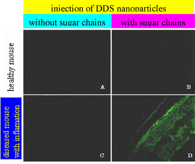 fig.4