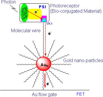 Fig.1