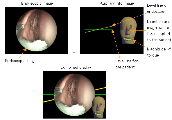 Fig. 3