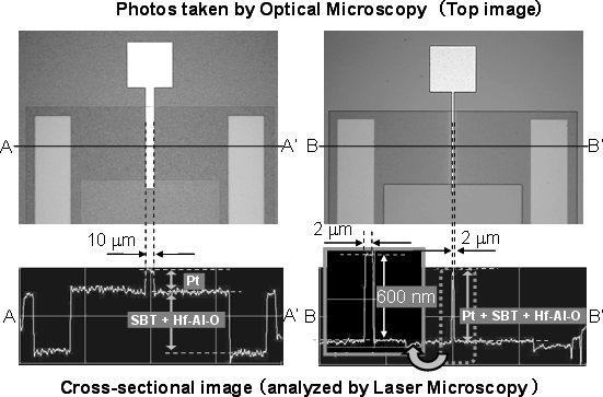 Fig. 2