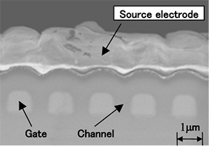 fig6