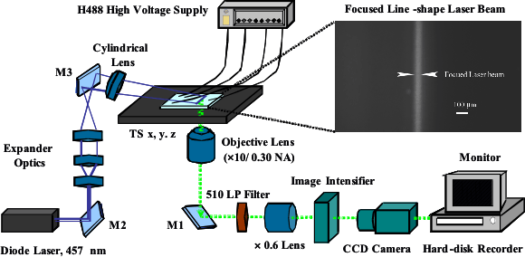 Figure. 3