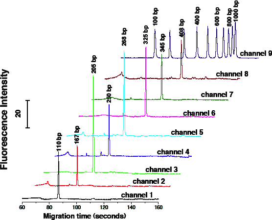 Figure. 5