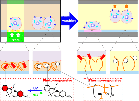 Fig.1